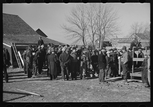 Scene at country auction near Aledo, Mercer County, Illinois