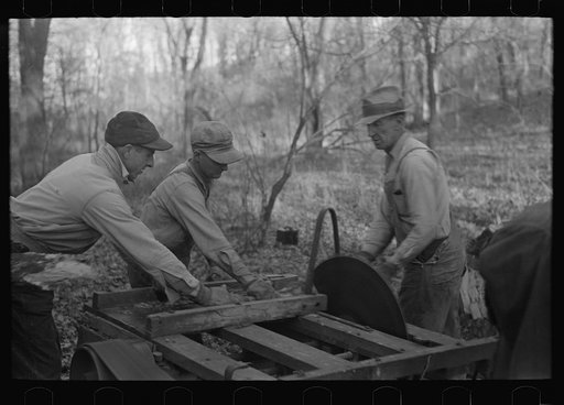 Farmers sawing wood for fuel in timber near Aledo, Illinois