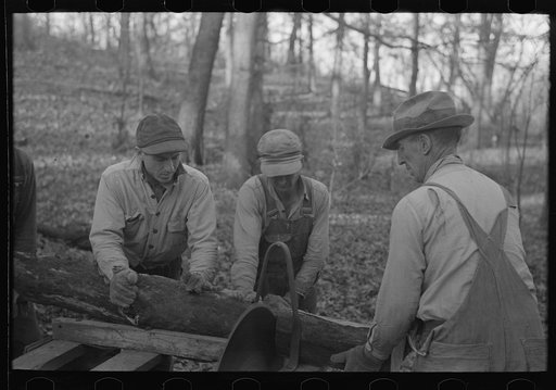 Untitled photo, possibly related to: Farmers sawing wood for fuel in timber near Aledo, Illinois