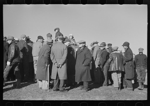 Untitled photo, possibly related to: Farmers on front of lunch shed, country auction, Aledo, Illinois