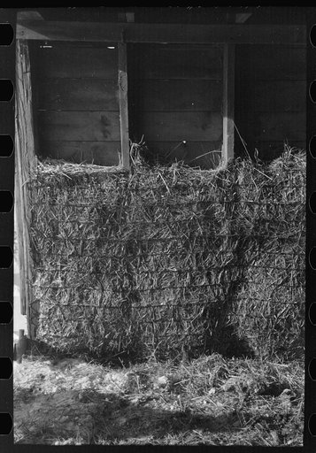 Repairs on inside of barn, Rustan brothers' farm, Dickens, Iowa. Tenant had to make these himself to keep his livestock warm as the side of the barn is rotten and full of holes