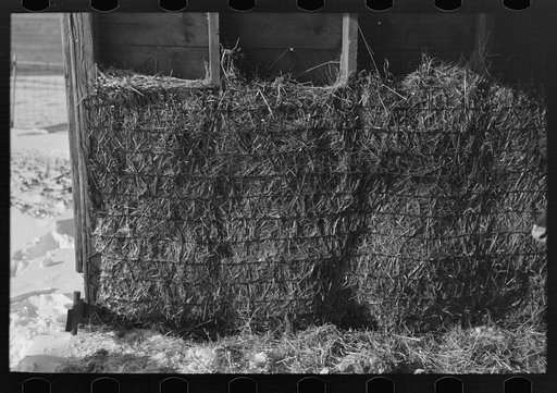 Untitled photo, possibly related to: Repairs on inside of barn, Rustan brothers' farm, Dickens, Iowa. Tenant had to make these himself to keep his livestock warm as the side of the barn is rotten and full of holes
