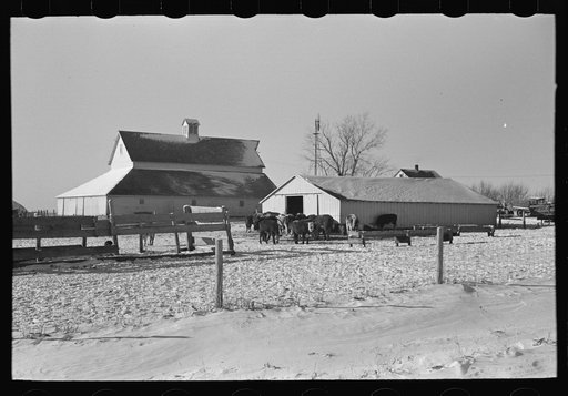 Untitled photo, possibly related to: Farm buildings, Rustan brothers' farm, Dickens, Iowa
