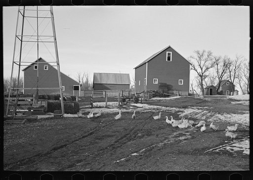 Farmyard and buildings on Bert Aldrich farm, near Dickens, Iowa. This farm, 300 acres, owned by Colorado landlord, has been kept in good shape