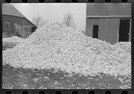 Pile of corncobs on farm in Emmet County, Iowa