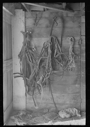 Untitled photo, possibly related to: Harness in barn of H.H. Tripp, near Dickens, Iowa