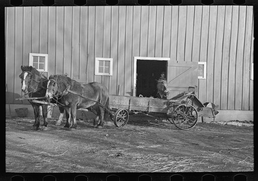 Loading manure into spreader, Emmet County, Iowa