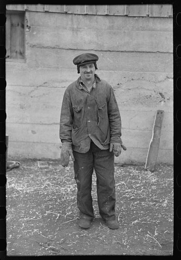 Untitled photo, possibly related to: Farmer, Emmet County, Iowa