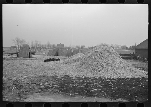 Untitled photo, possibly related to: Barn on Russell Natterstad farm near Estherville, Iowa