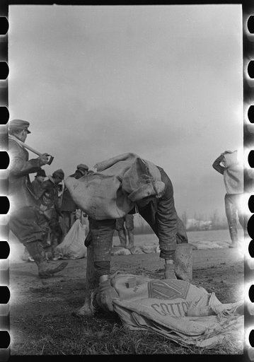 Untitled photo, possibly related to: Working on the levee at Bird's Point, Missouri during the height of the flood
