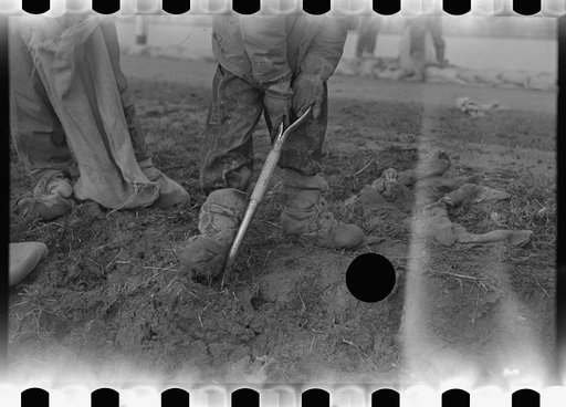 Untitled photo, possibly related to: Levee worker during the flood, on a raw day with a thirty-mile wind. These men are very cold and almost exhausted from constant work