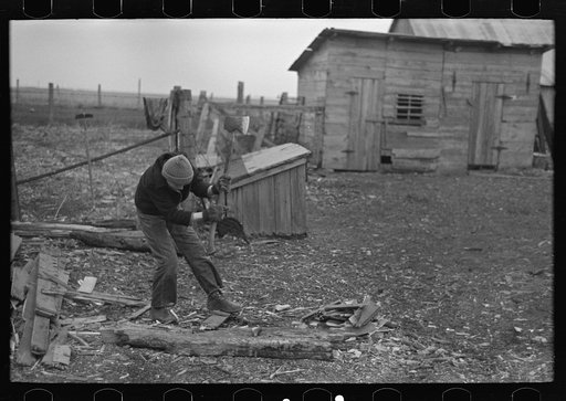 Untitled photo, possibly related to: Late afternoon. One of Tip Estes' sons loading tiles on a wagon, Fowler, Indiana