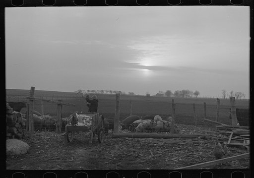 Untitled photo, possibly related to: Late afternoon. One of Tip Estes' sons loading tiles on a wagon, Fowler, Indiana