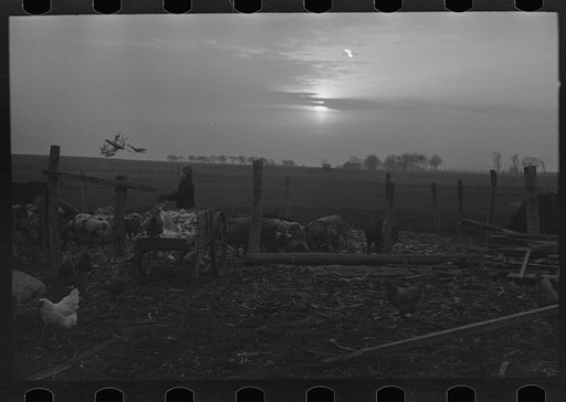 Untitled photo, possibly related to: Late afternoon. One of Tip Estes' sons loading tiles on a wagon, Fowler, Indiana