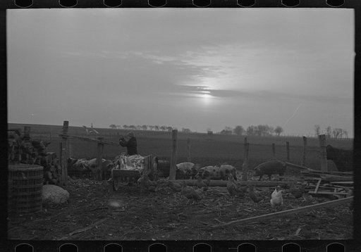 Untitled photo, possibly related to: Late afternoon. One of Tip Estes' sons loading tiles on a wagon, Fowler, Indiana