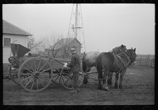 6:15 a.m.  After hitching his horses to the oat seeder, Tip Estes prepares to go out in the fields, Fowler, Indiana