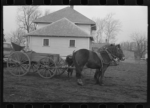 Untitled photo, possibly related to: 6:15 a.m.  After hitching his horses to the oat seeder, Tip Estes prepares to go out in the fields, Fowler, Indiana