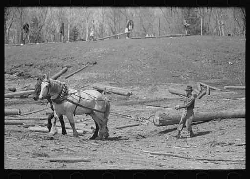Lumberjack near Little Fork, Minnesota