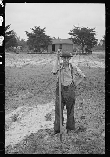 Untitled photo, possibly related to: Father of Ben Johnson, farmer of the cut-over lands, near Black River Falls, Wisconsin