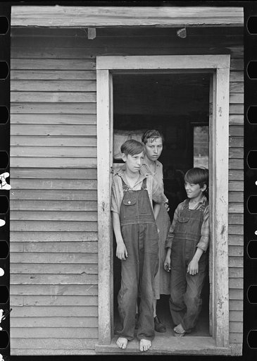 Untitled photo, possibly related to: Children of John Mathews, near Black River Falls, Wiscconsin