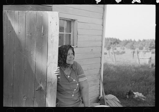 Untitled photo, possibly related to: Wife of Bohemian farmer near Black River Falls, Wisconsin