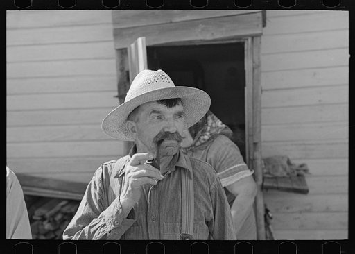 Bohemian farmer, near Black River Falls, Wisconsin