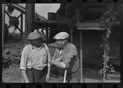 Workers at pea vinery talking, near Sun Prairie, Wisconsin