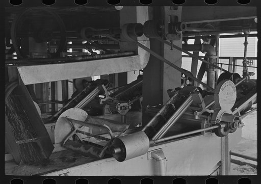 Untitled photo, possibly related to: Wife of pea farmer at vinery near Sun Prairie, Wisconsin