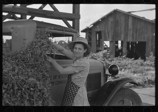 Wife of pea farmer at vinery near Sun Prairie, Wisconsin
