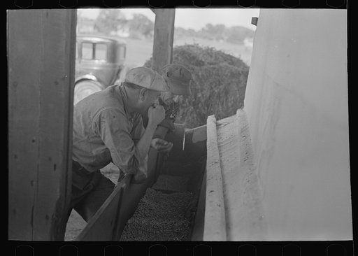 Farmers talking while watching shelled peas coming from pea vinery, near Sun Prairie, Wisconsin