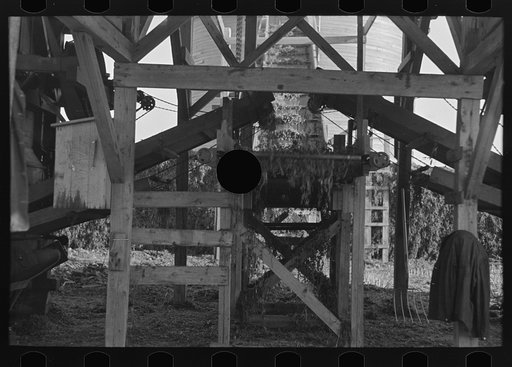 Untitled photo, possibly related to: Farmers talking while watching shelled peas coming from pea vinery, near Sun Prairie, Wisconsin