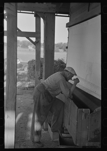 Untitled photo, possibly related to: Farmers talking while watching shelled peas coming from pea vinery, near Sun Prairie, Wisconsin