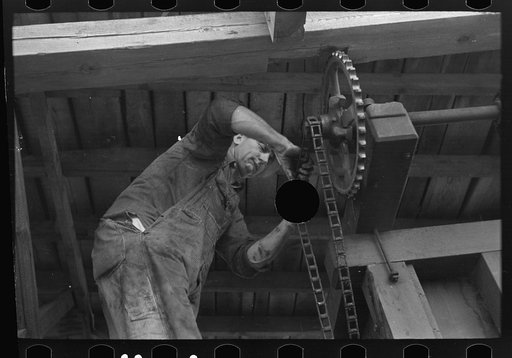 Untitled photo, possibly related to: Loading boxes of hulled peas at vinery for transporting to canning factory, near Sun Prairie, Wisconsin