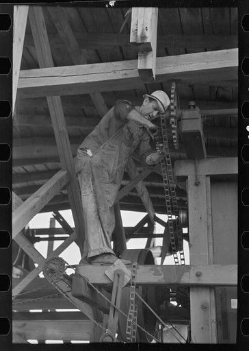 Untitled photo, possibly related to: Loading boxes of hulled peas at vinery for transporting to canning factory, near Sun Prairie, Wisconsin