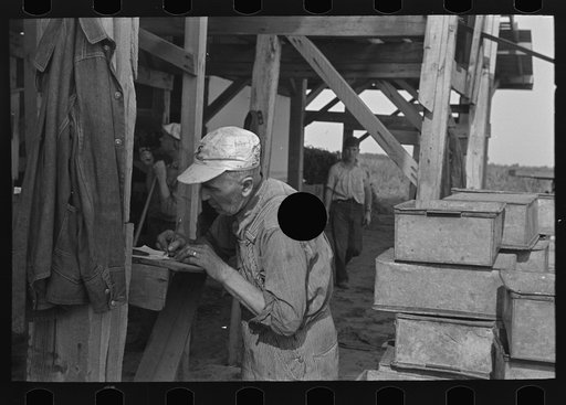 Untitled photo, possibly related to: Man recording quantities of pea vines delivered to vinery, near Sun Prairie, Wisconsin