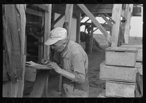 Man recording quantities of pea vines delivered to vinery, near Sun Prairie, Wisconsin