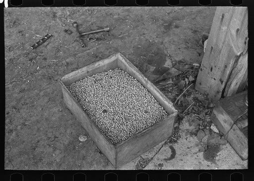 Untitled photo, possibly related to: Boxes of peas after being separated from pods at pea vinery near Sun Prairie, Wisconsin