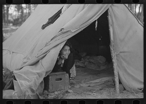 Blueberry pickers' home, near Little Fork, Minnesota