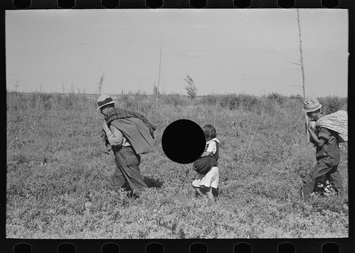 Untitled photo, possibly related to: Blueberry fields near Little Fork, Minnesota