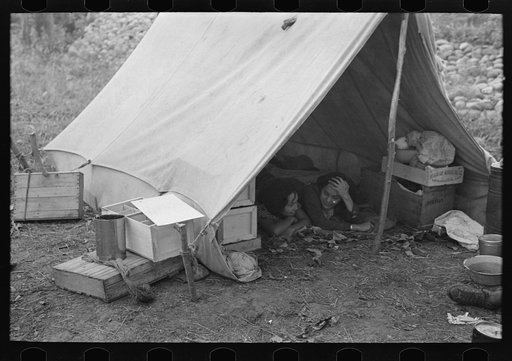 Indian tent in blueberry pickers' camp near Little Fork, Minnesota