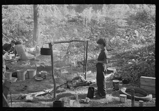 Indian boy and cooking arrangement, blueberry camp near Little Fork, Minnesota