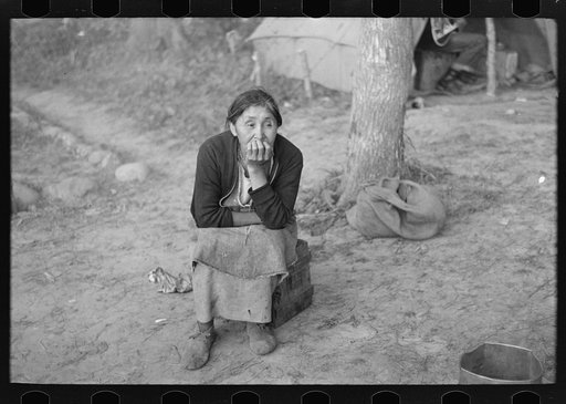 Indian woman in camp near Little Fork, Minnesota