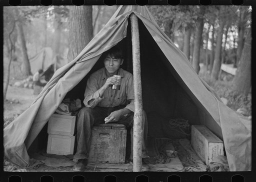 Indian boy in blueberry pickers' camp near Little Fork, Minnesota