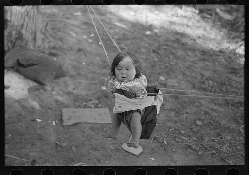 Indian papoose in swing near Little Fork, Minnesota