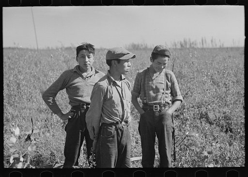 Young blueberry pickers near Little Fork, Minnesota