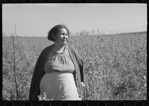 Indian woman, near Little Fork, Minnesota