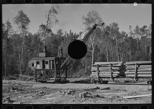 Untitled photo, possibly related to: Loading device moving railroad cars full of timber at camp near Effie, Minnesota
