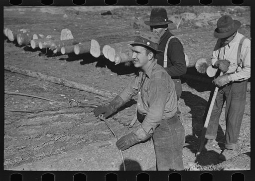 Lumberjack adjusting loading chain around log at camp near Effie, Minnesota