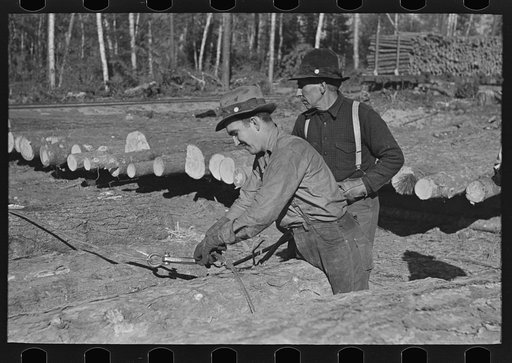 Lumberjack adjusting loading chain around log at camp near Effie, Minnesota