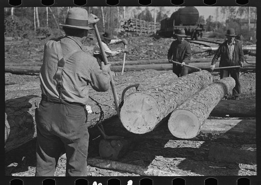 Lumberjack using peavy, at camp near Effie, Minnesota